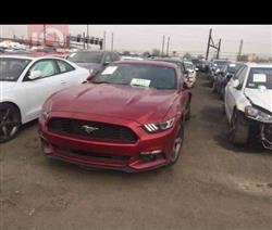 فورد موستانج